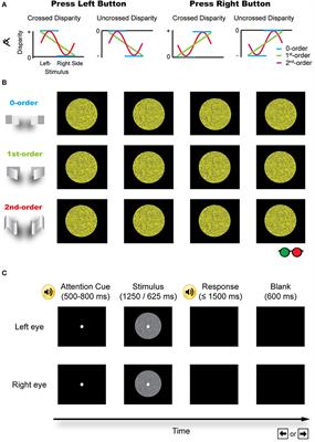 General and Specific Effects of Stereo Learning